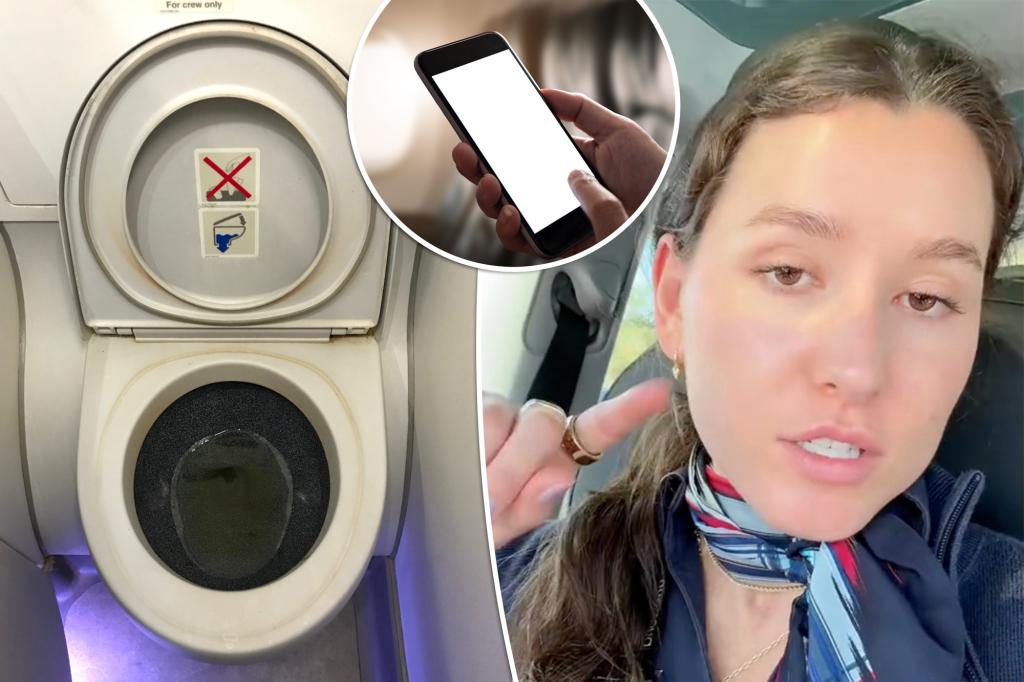 I'm a flight attendant - there's good news if your iPhone falls into an airplane toilet